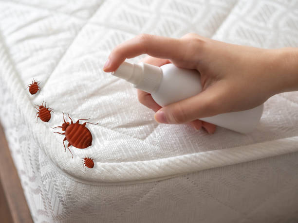 Real Estate Pest Inspections in Hillsdale, MI